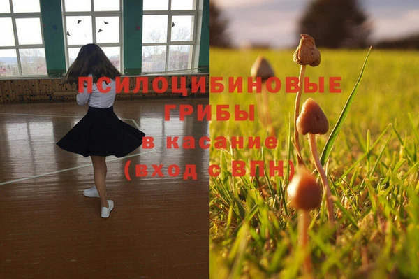 каннабис Карабаш