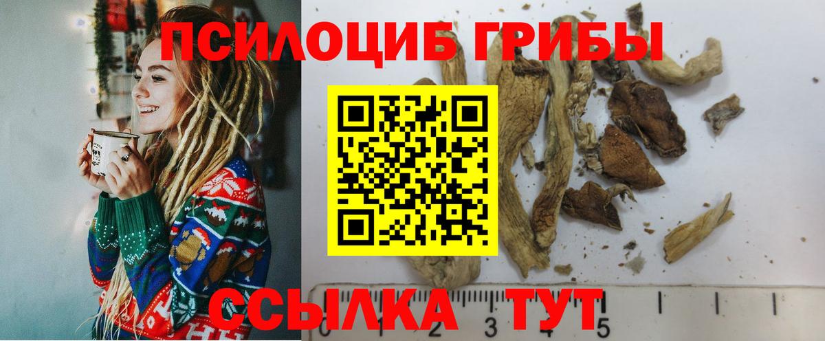 Псилоцибиновые грибы MAGIC MUSHROOMS Осинники