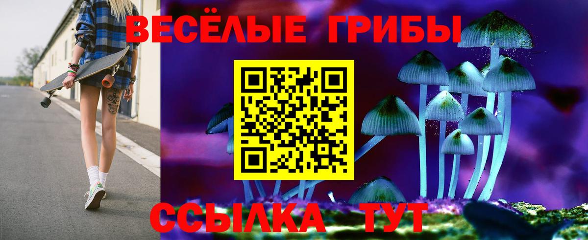 купить  сайты  Галлюциногенные грибы мицелий  Вход с VPN  Осинники 